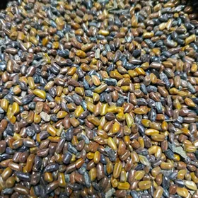 Семена растительного кофе.