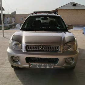 Hyundai Santa Fe 2004