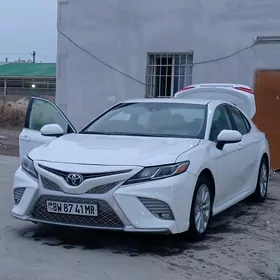 Toyota Camry 2019