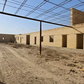 satlyk jay sayat colde