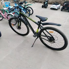 welasipet velik tigir