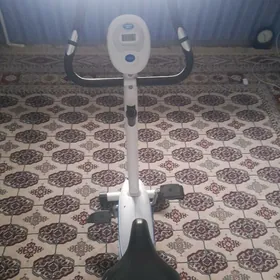 Tigir öýde sürülýän