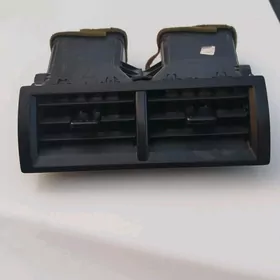 Palta ýel kowýan ortaky