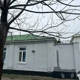 AK ALTYN DOM Esgerler Koçe