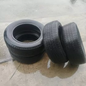 haÿlandyrdan aÿyrlan teker