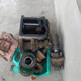 general karopka morda