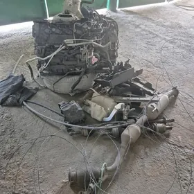 2020 kamry mator karopga