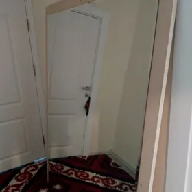 ayna yuz gorilyan salona pareh