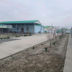 eyesinden satlyk plan jay