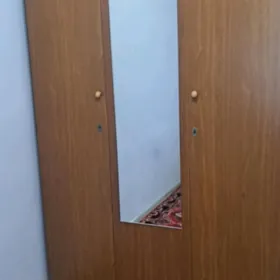 sifonet шифонер