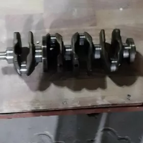 duty standart wal 2 4