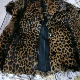 леопард енсиз