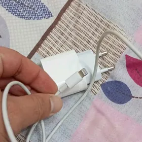 iphone zaryatnik original  usb