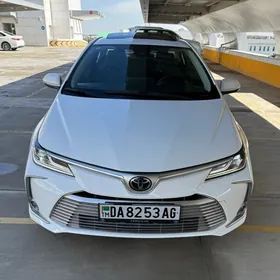 Toyota Corolla 2023