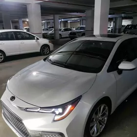 Toyota Corolla 2022