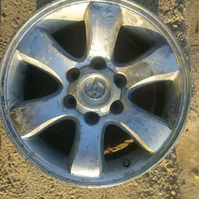 Prada diska 17 Radnoy