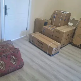 Arenda Buzmeyin jemagat