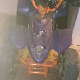 квадроцикол