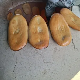 Yapyjy bisiryan gerek