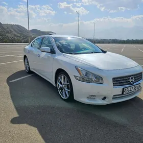Nissan Maxima 2010