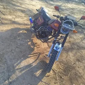 Fekon FK200-14G 2022