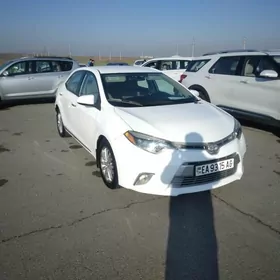 Toyota Corolla 2014