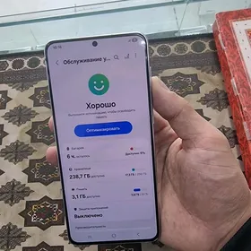 S21+ 8/256 2sim arginal