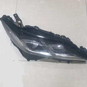 Camry Haliji fara 2018-2020ý.