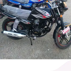 Fekon FK200-14G 2023