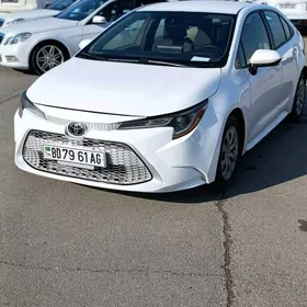 Toyota Corolla 2021