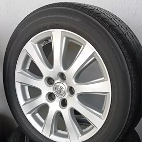 17 lik diska pakriska