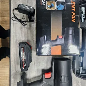 Turbo fen yaprakmasyn guratyan