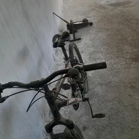 ВЕЛИК  СПАРТИВНЫЕ