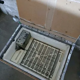 Inkibator 48 ýymyrtgalyk