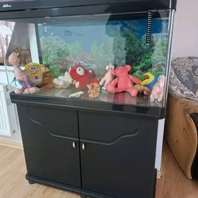 продаю аквариум