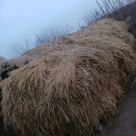 Mat oty mekgejowen gara palac