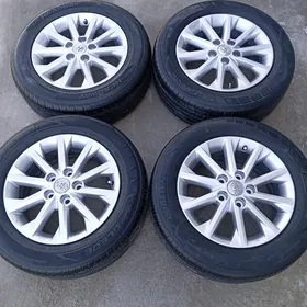 GXL Dysga pakryşga 16 morda