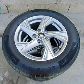 Hundaý disge pakrysga 16