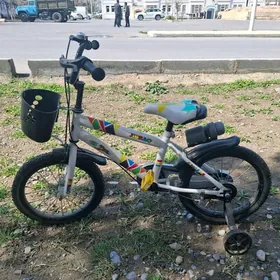 Çaga tigiri arassaja