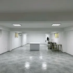 Tikincilere arendasyna yer