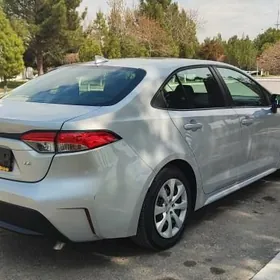 Toyota Corolla 2021