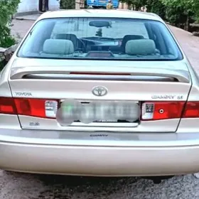 labawoy babycka lisicka