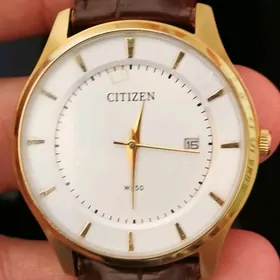 Sagat Часы Citizen.