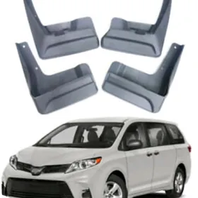 Sienna bryzgowik 2018-2020ý.