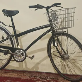 tigir ÿapoşka 27 welo