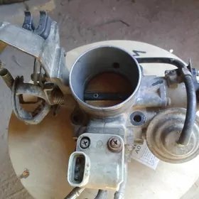 Zaslonka 95 99 Avalon