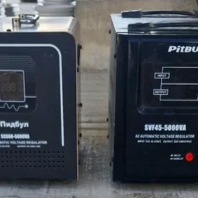 Tok kopeltyan pitbul