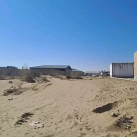 Mellek 22 jay arkasy