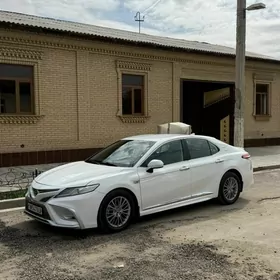 Toyota Camry 2019