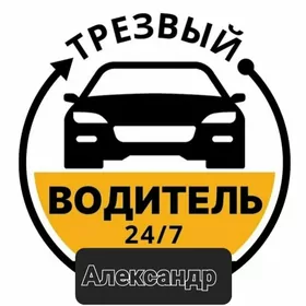 трезвый водитель